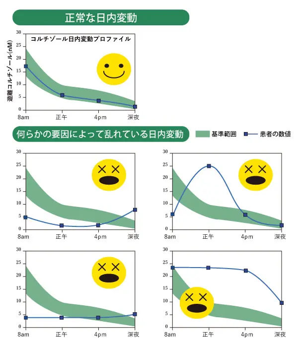 コルチゾールの日内変動