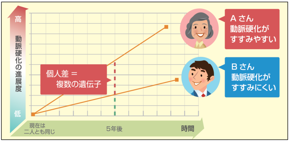 動脈硬化の個人差