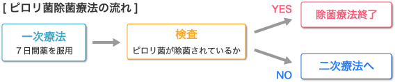 ピロリ菌除菌療法の流れ