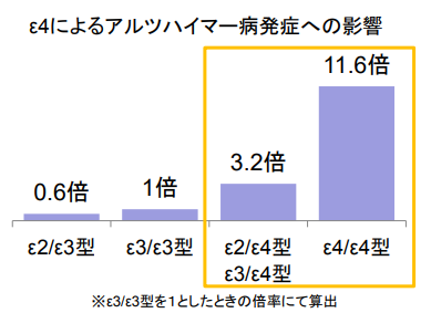 ε4によるアルツハイマー病発症への影響 ε4によるアルツハイマー病発症への影響