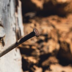 engin-akyurt-hsXN9n4gsnA-unsplash engin-akyurt-hsXN9n4gsnA-unsplash