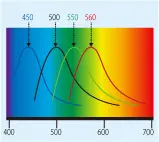 ミネラル検査・吸光光度法 吸光光度法